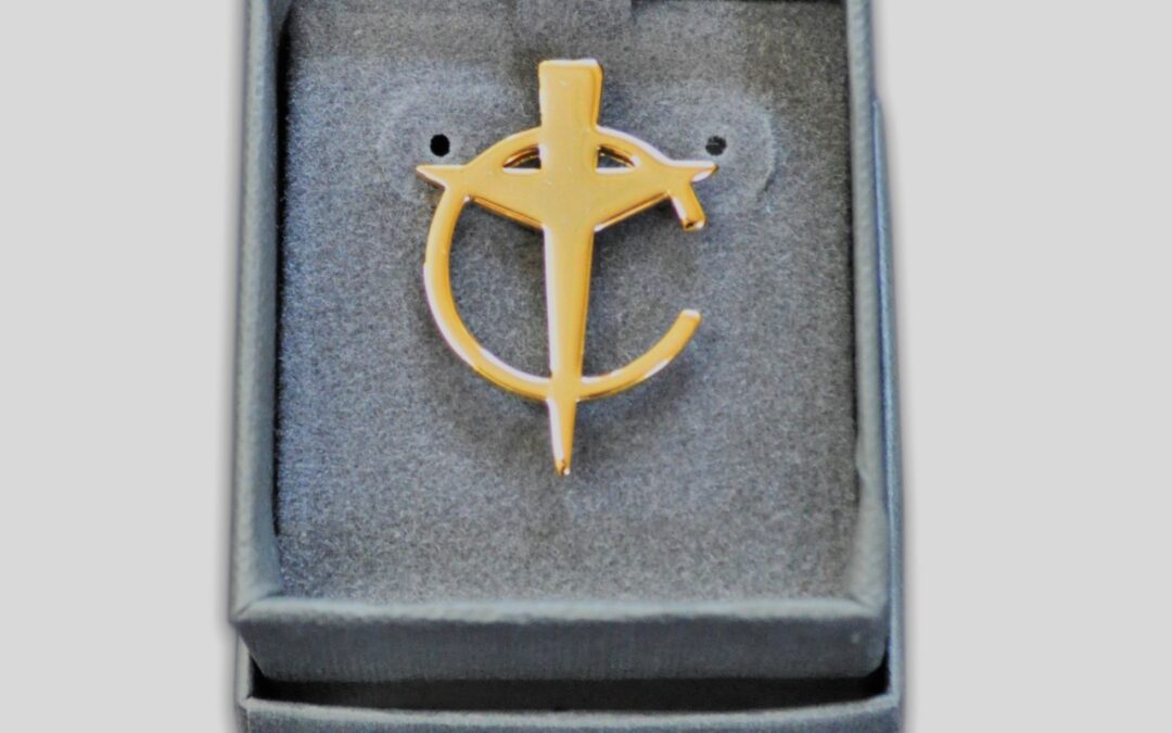 lapel pin2