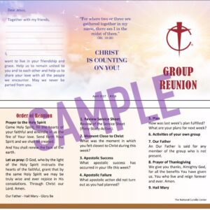 Revised Group Reunion Sheets (package of 50) - 2017